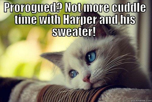 PROROGUED? NOT MORE CUDDLE TIME WITH HARPER AND HIS SWEATER!   First World Problems Cat