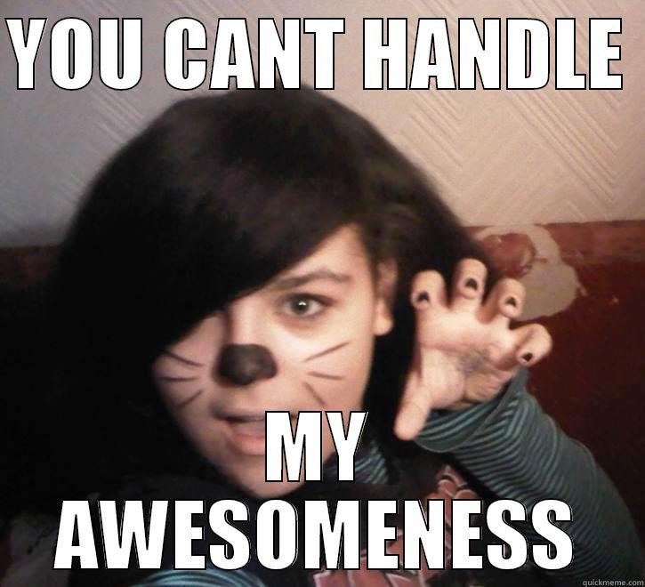 YOU CANT HANDLE  MY AWESOMENESS Misc