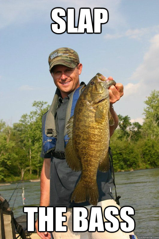 Slap THE BASS - Slap THE BASS  Techno Fishermen