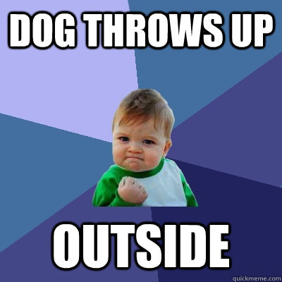 dog throws up outside  Success Kid