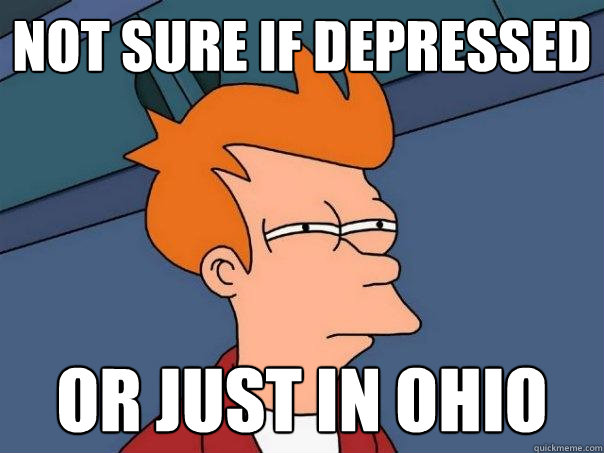 Not sure if depressed or just in ohio  Futurama Fry