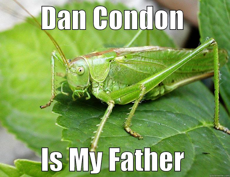 Crickets Condon - DAN CONDON IS MY FATHER Misc