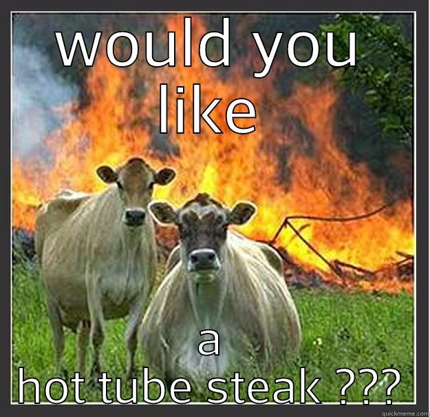 WOULD YOU LIKE A HOT TUBE STEAK ??? Evil cows