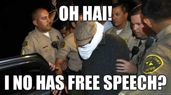 Oh hai! I no has free speech?  Defend the Constitution