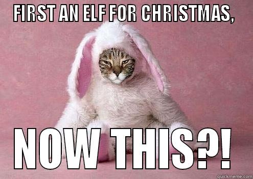 bunny cat - FIRST AN ELF FOR CHRISTMAS,  NOW THIS?! Misc