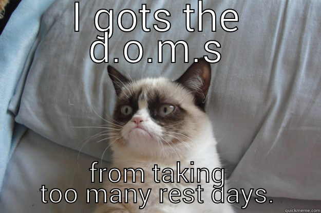 I GOTS THE D.O.M.S FROM TAKING TOO MANY REST DAYS. Grumpy Cat