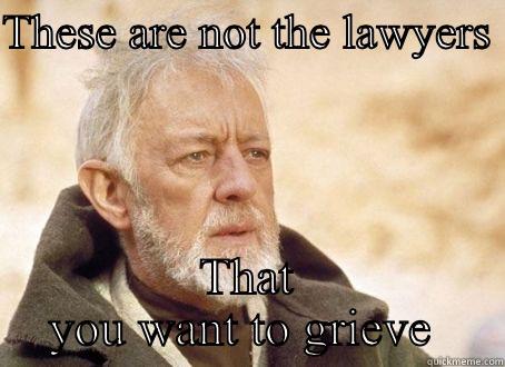 Anne so  - THESE ARE NOT THE LAWYERS  THAT YOU WANT TO GRIEVE  Misc