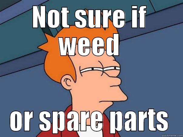 NOT SURE IF WEED OR SPARE PARTS Futurama Fry