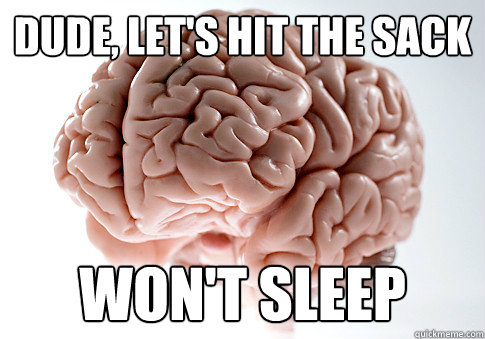 Dude, let's hit the sack Won't sleep  Scumbag Brain