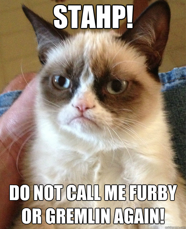 STAHP! Do not call me Furby or Gremlin Again!  Grumpy Cat