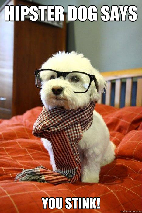 hipster dog says you stink!  Hipster Dog