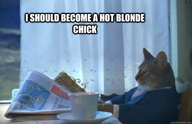 I should become a hot blonde chick  Sophisticated Cat