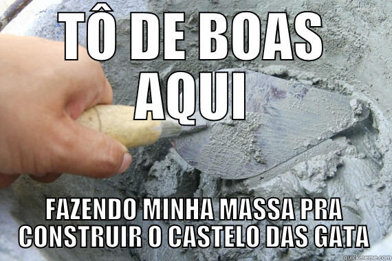 TÔ DE BOAS AQUI FAZENDO MINHA MASSA PRA CONSTRUIR O CASTELO DAS GATA Misc