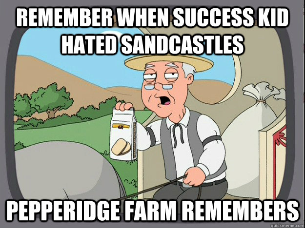 remember when success kid hated sandcastles Pepperidge farm remembers  Pepperidge Farm Remembers