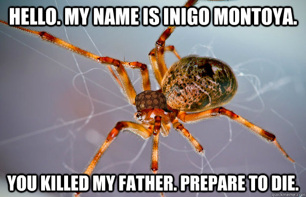 Hello. My name is Inigo Montoya. You killed my father. Prepare to die.  Scum Bag Spider