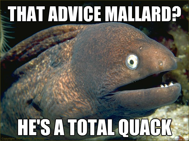 That advice mallard? He's a total quack  Bad Joke Eel