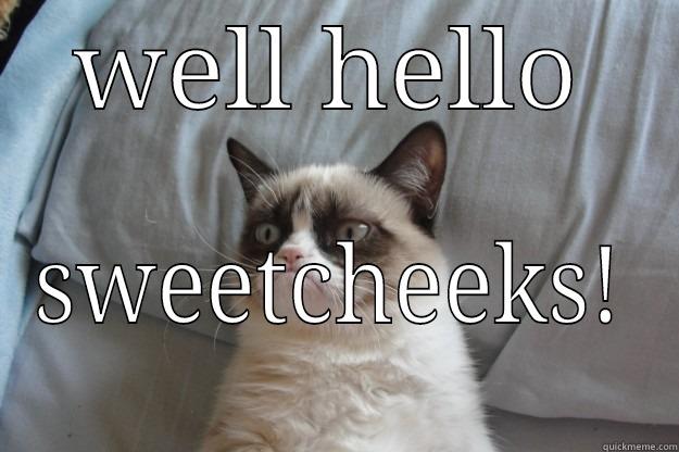 my beau  - WELL HELLO SWEETCHEEKS! Grumpy Cat