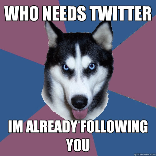 who needs twitter Im already following you  Creeper Canine