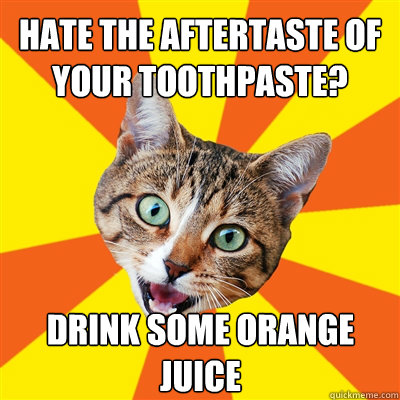 Hate the aftertaste of your toothpaste? Drink some orange juice  Bad Advice Cat