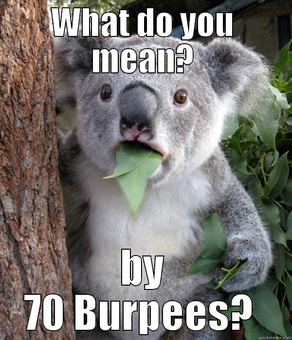 WHAT DO YOU MEAN? BY 70 BURPEES?  Misc