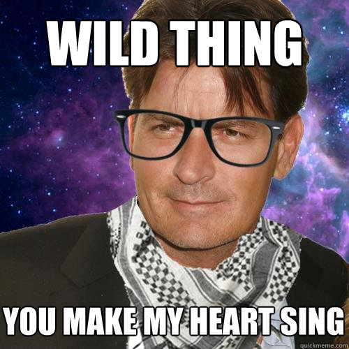 oh wild thing you make my heart sing what song