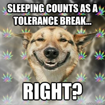 sleeping counts as a tolerance break... right?  Stoner Dog