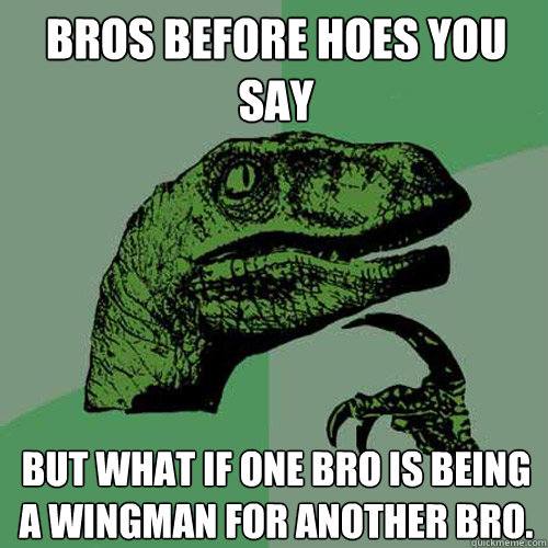 Bros before hoes you say But what if one bro is being a wingman for another bro. - Bros before hoes you say But what if one bro is being a wingman for another bro.  Philosoraptor