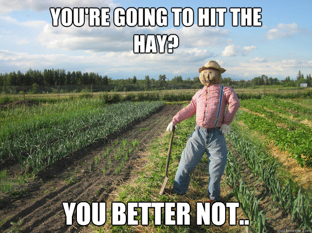 YOU'RE GOING TO HIT THE 
HAY? YOU BETTER NOT..  Scarecrow