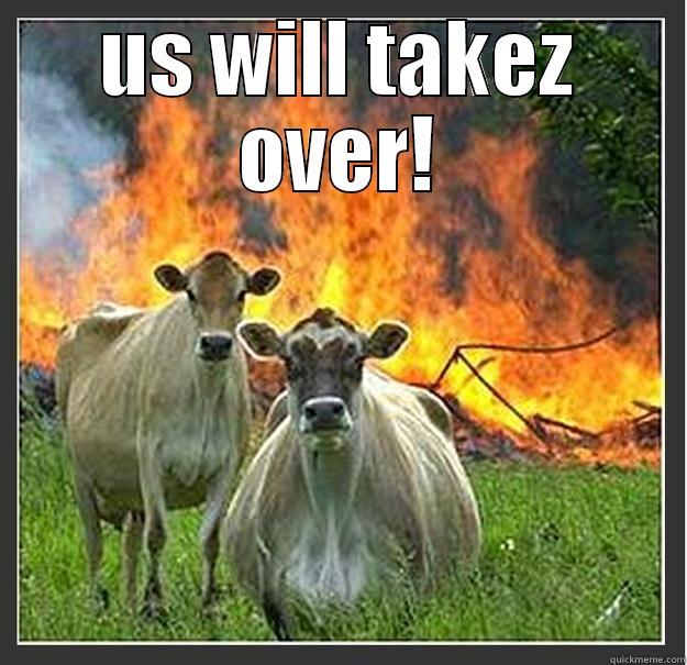 us will takez over! - US WILL TAKEZ OVER!  Evil cows