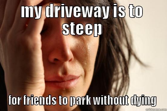 MY DRIVEWAY IS TO STEEP FOR FRIENDS TO PARK WITHOUT DYING First World Problems