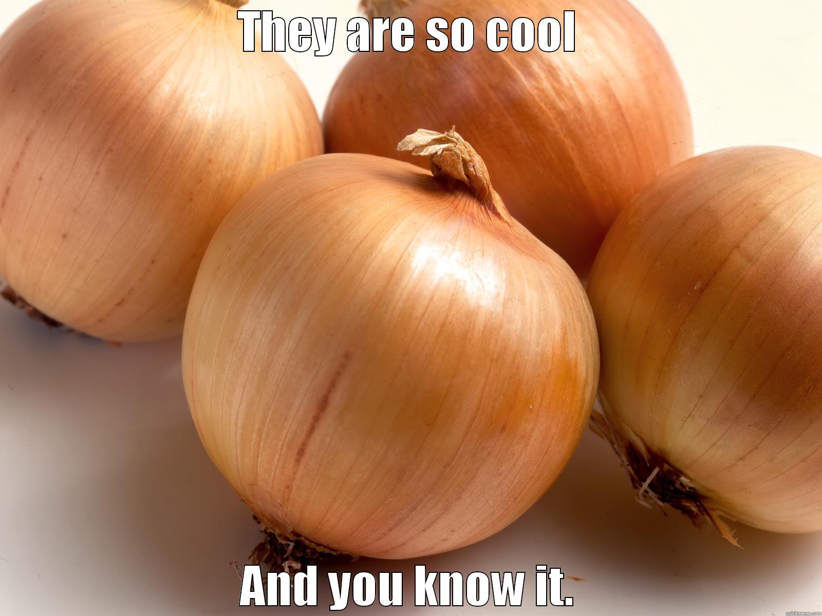 Onions fact ! - THEY ARE SO COOL AND YOU KNOW IT. Misc