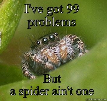 I'VE GOT 99 PROBLEMS BUT A SPIDER AIN'T ONE Misunderstood Spider