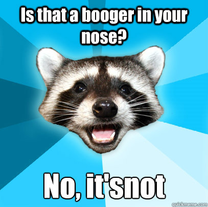 Is that a booger in your nose? No, it'snot - Is that a booger in your nose? No, it'snot  Lame Pun Coon