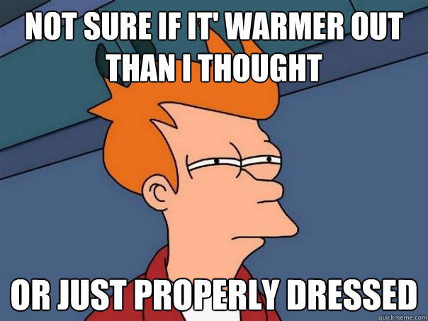 Not sure if it' warmer out than I thought or just properly dressed - Not sure if it' warmer out than I thought or just properly dressed  Futurama Fry