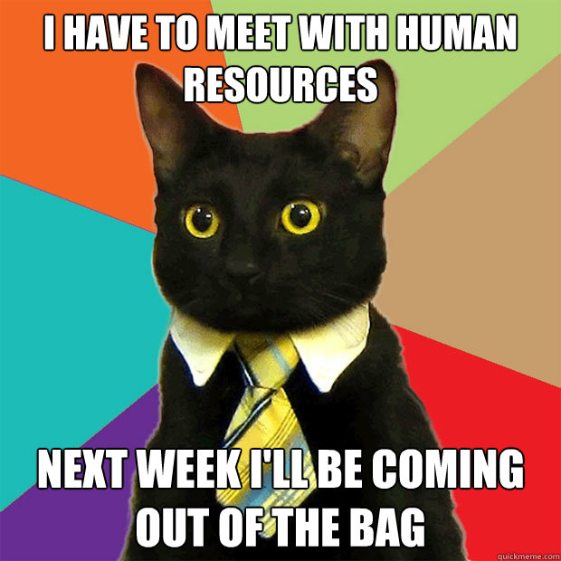 I have to meet with Human Resources Next week I'll be coming out of the bag  Business Cat