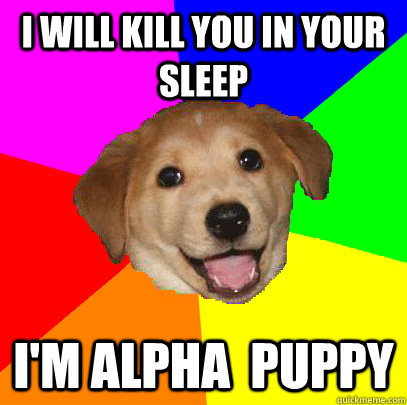 i will kill you in your sleep I'M Alpha  puppy  Advice Dog