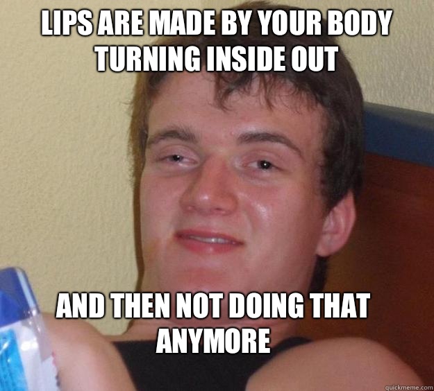 Lips are made by your body turning inside out  and then not doing that anymore  10 Guy