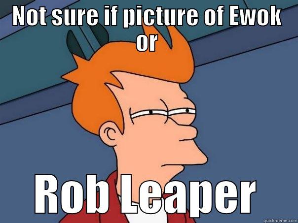 Ewok Rob - NOT SURE IF PICTURE OF EWOK OR ROB LEAPER Futurama Fry