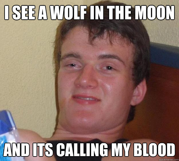 I see a wolf in the moon and its calling my blood  10 Guy