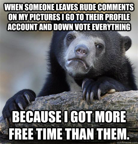 When someone leaves rude comments on my pictures I go to their profile account and down vote everything Because I got more free time than them.  Confession Bear