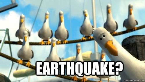 Earthquake?  Finding Nemo Seagulls