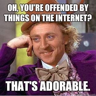 Oh, you're offended by things on the Internet? That's adorable.  Condescending Wonka