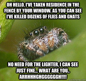 Oh hello, I've taken residence in the fence by your window. As you can see I've killed dozens of flies and gnats No need for the lighter, I can see just fine... what are you.. ARRHHHGHGGGGGGH!!!!  