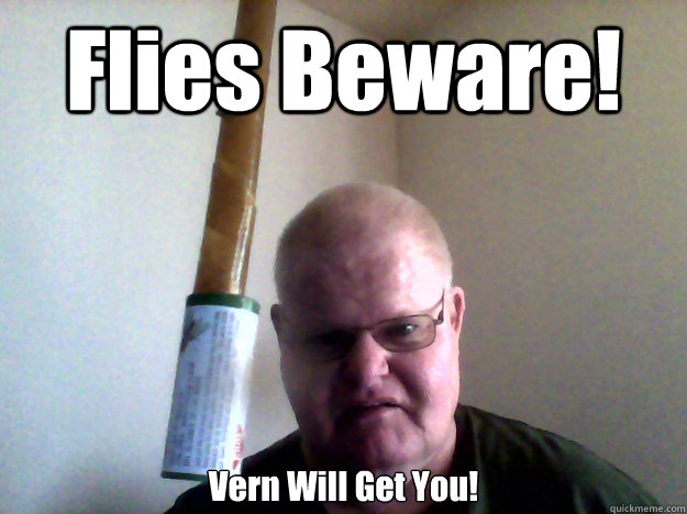 Flies Beware! Vern Will Get You! - Flies Beware! Vern Will Get You!  Killing Flies