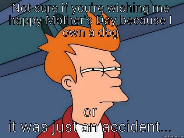 mother's day - NOT SURE IF YOU'RE WISHING ME HAPPY MOTHER'S DAY BECAUSE I OWN A DOG OR IT WAS JUST AN ACCIDENT... Futurama Fry