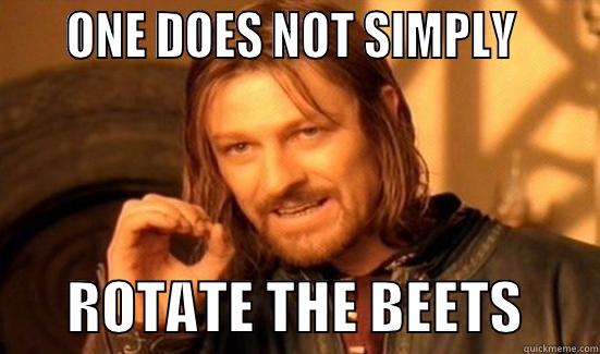     ONE DOES NOT SIMPLY             ROTATE THE BEETS       Boromir