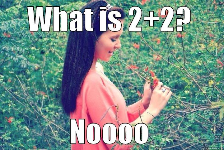 WHAT IS 2+2? NOOOO Misc