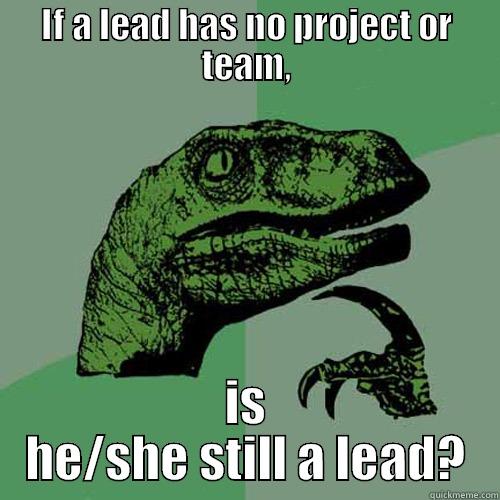 IF A LEAD HAS NO PROJECT OR TEAM, IS HE/SHE STILL A LEAD? Philosoraptor