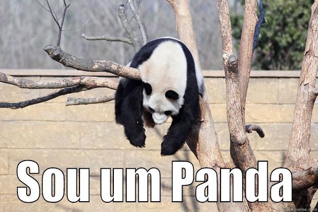 Panda mimindo -  SOU UM PANDA Misc