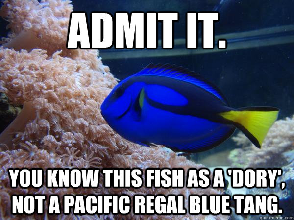 admit it. you know this fish as a 'dory', not a Pacific regal blue tang. - admit it. you know this fish as a 'dory', not a Pacific regal blue tang.  dori